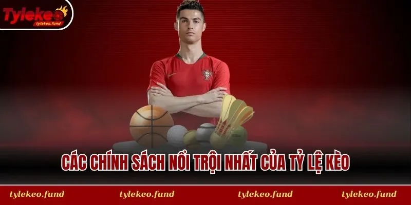 Các chính sách nổi trội nhất của Tỷ Lệ Kèo