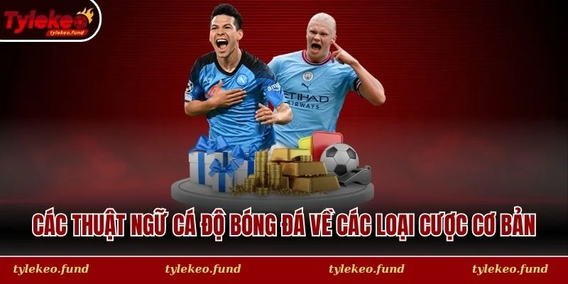 Các thuật ngữ cá độ bóng đá về các loại cược cơ bản