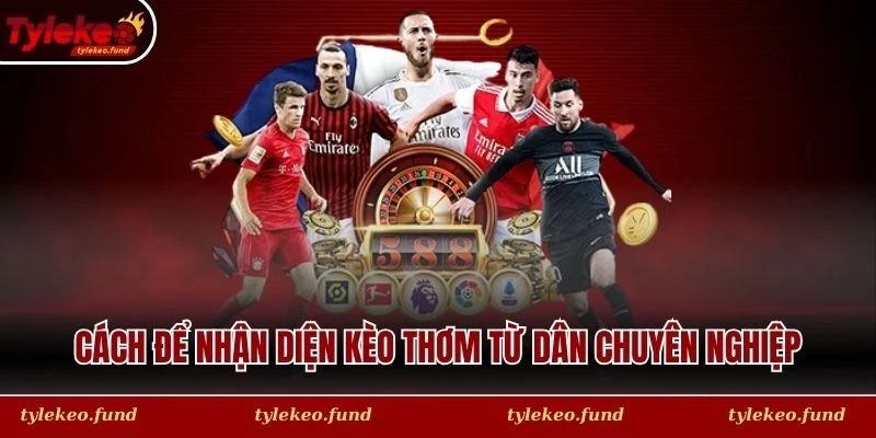 Cách để nhận diện kèo thơm từ dân chuyên nghiệp