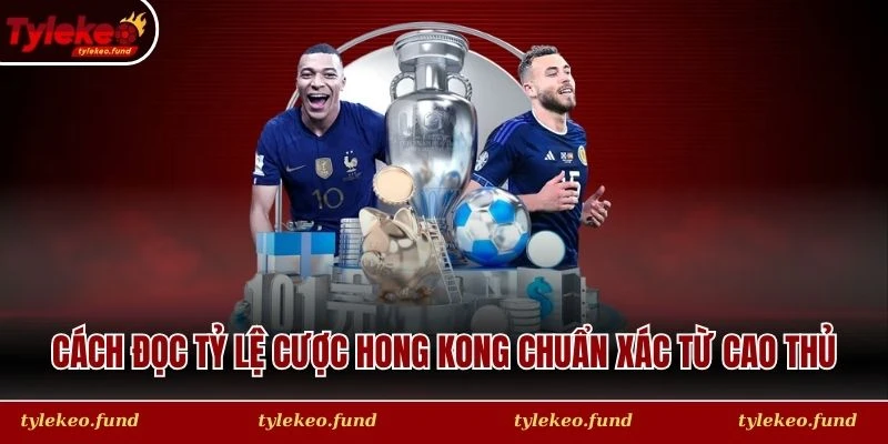 Cách đọc tỷ lệ cược Hong Kong chuẩn xác từ cao thủ