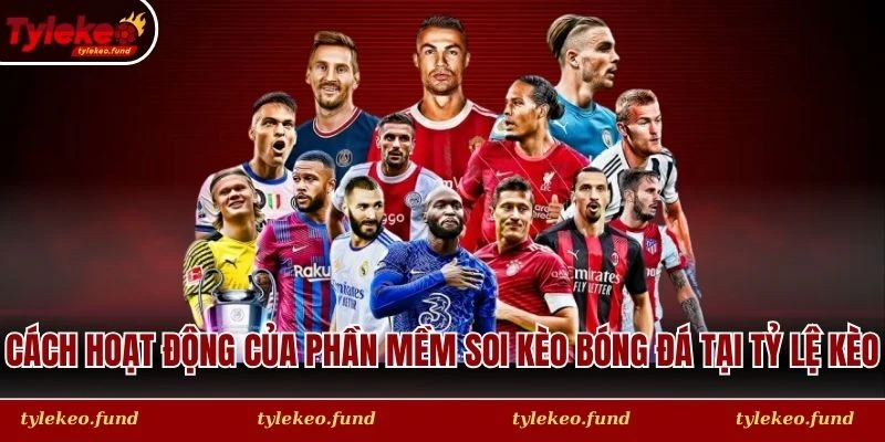 Cách hoạt động của phần mềm soi kèo bóng đá tại Tỷ Lệ Kèo