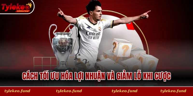 Cách tối ưu hóa lợi nhuận và giảm lỗ khi cược