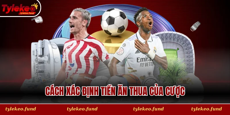 Cách xác định tiền ăn thua của cược