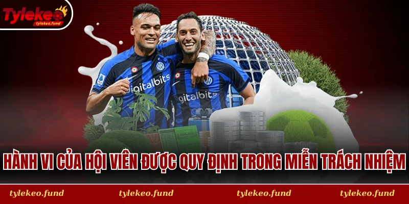 Hành vi của người chơi được quy định trong miễn trừ trách nhiệm