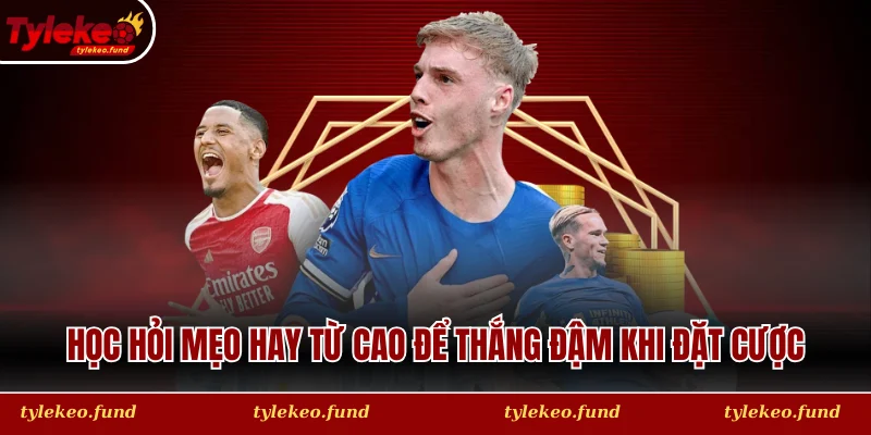 Học hỏi mẹo hay từ cao để thắng đậm khi đặt cược