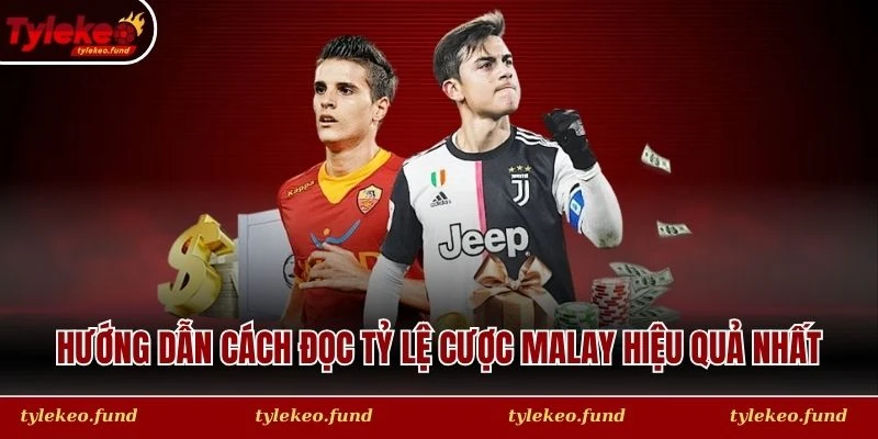 Hướng dẫn cách đọc tỷ lệ cược Malay hiệu quả nhất từ cao thủ