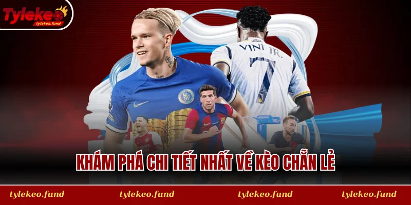 Khám phá chi tiết nhất về kèo chẵn lẻ