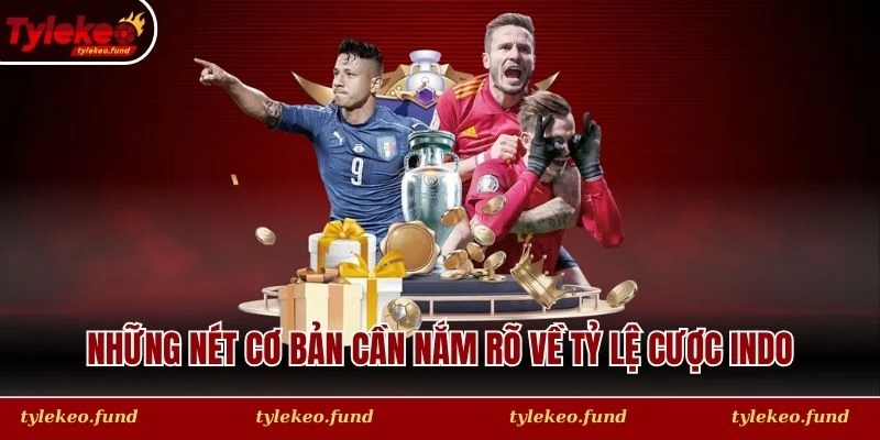 Những nét cơ bản cần nắm rõ về tỷ lệ cược Indo