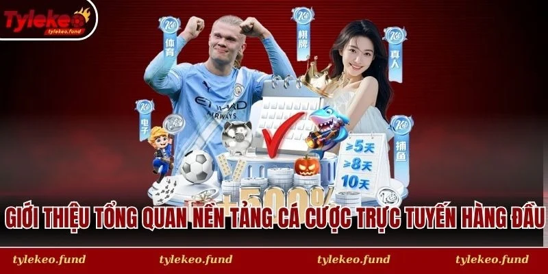 Giới thiệu tổng quan nền tảng cá cược trực tuyến hàng đầu