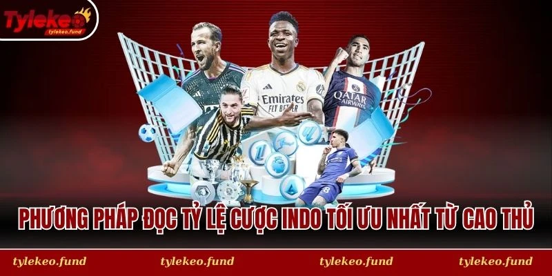 Phương pháp đọc tỷ lệ cược Indo tối ưu nhất từ cao thủ