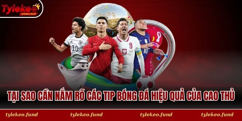Tại sao cần nắm rõ các tip bóng đá hiệu quả của cao thủ