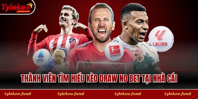 Thành viên tìm hiểu kèo draw no bet tại nhà cái