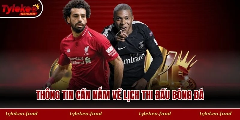 Thông tin cần nắm về lịch thi đấu bóng đá