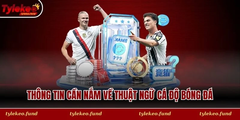 Thông tin cần nắm về thuật ngữ cá độ bóng đá