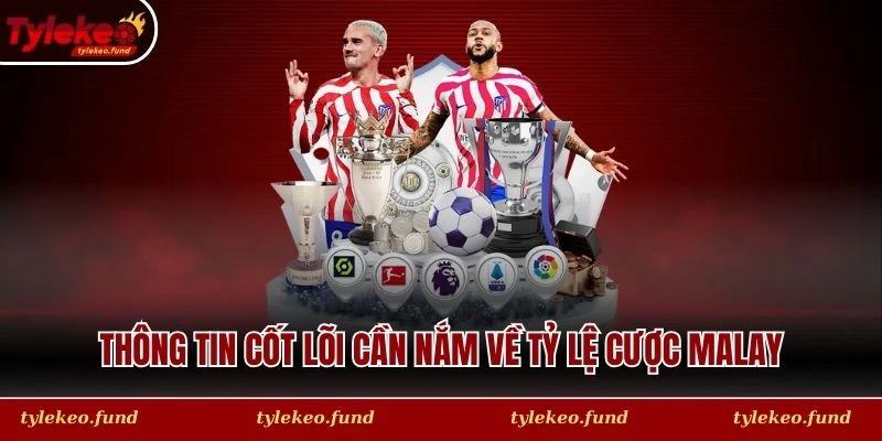 Thông tin cốt lõi cần nắm về tỷ lệ cược Malay