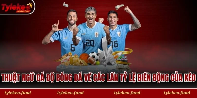 Thuật ngữ cá độ bóng đá về các lần tỷ lệ biến động của kèo